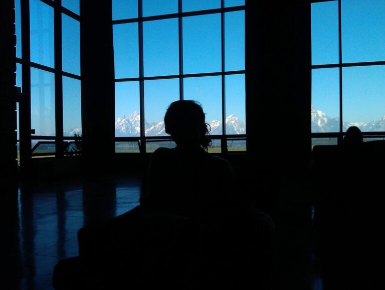 O vară în Jackson Lake Lodge