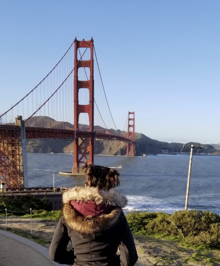 10 zile pe Coasta de Vest